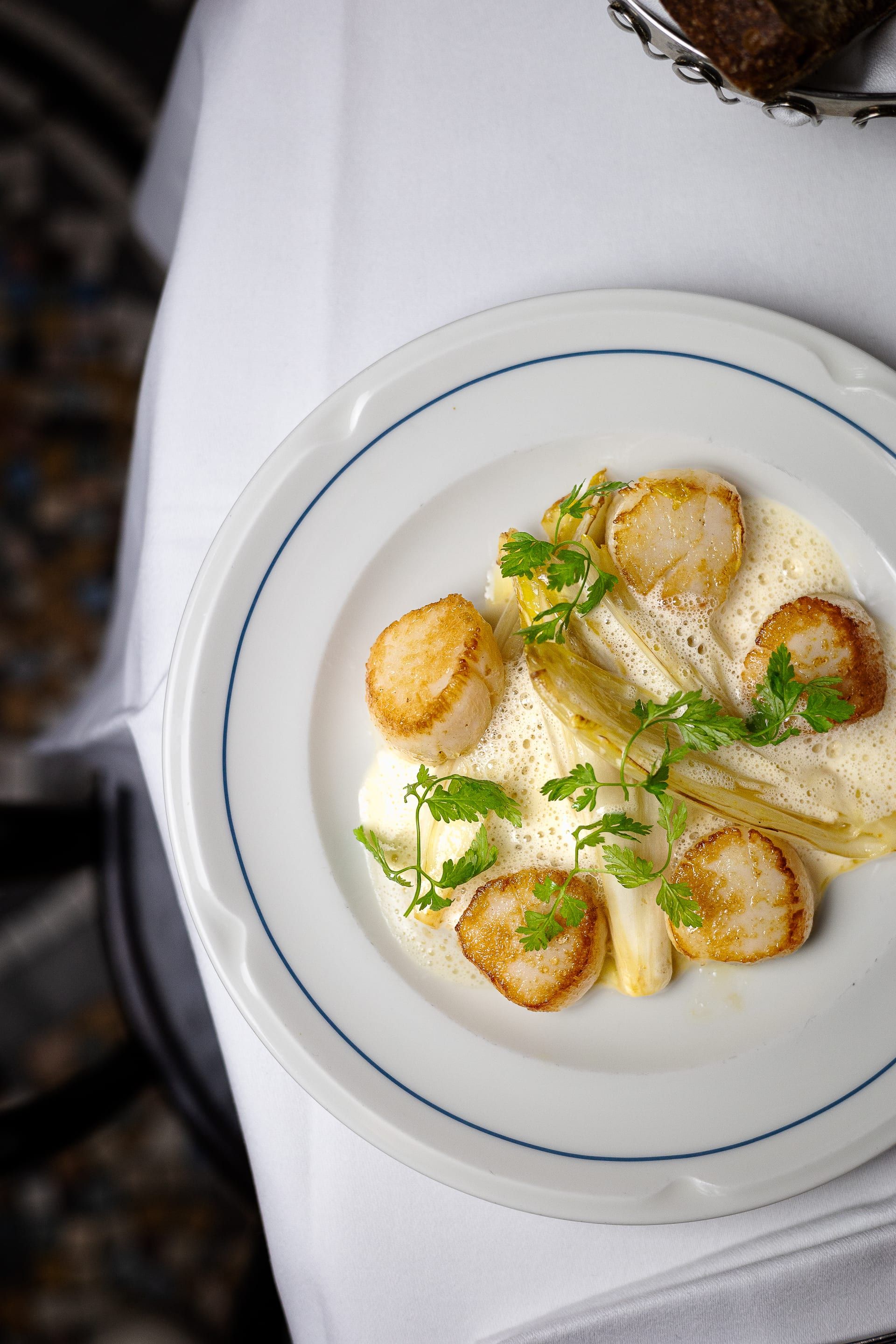 Noix de Saint-Jacques poêlées, endives et sauce mousseuse, dressées à l’assiette
